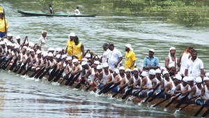 Snake boat in training