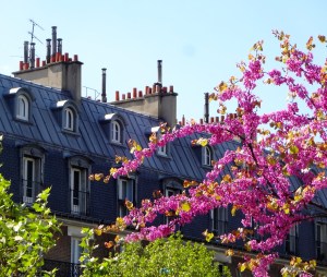 Rooftops along the promenade