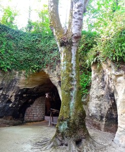 Courtyard between dwellings