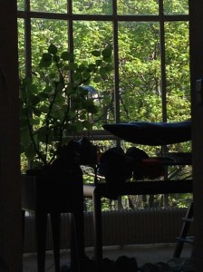 Paris flat: Courtyard late April