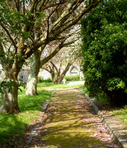 Marazion Memorial Gardens
