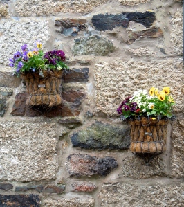 Flower pots on a wall