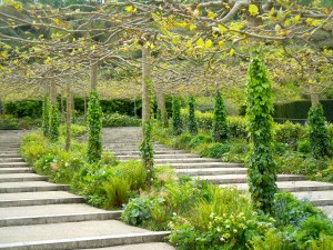 Trellises outside of the biomes